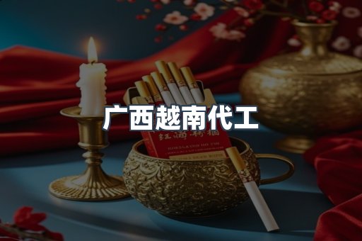 广西越南代工